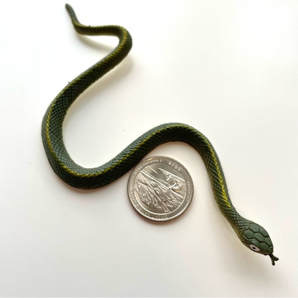 LOT of 10 Miniature Snakes Learning Prank Toy School Project Play Red Green - Picture 7 of 9